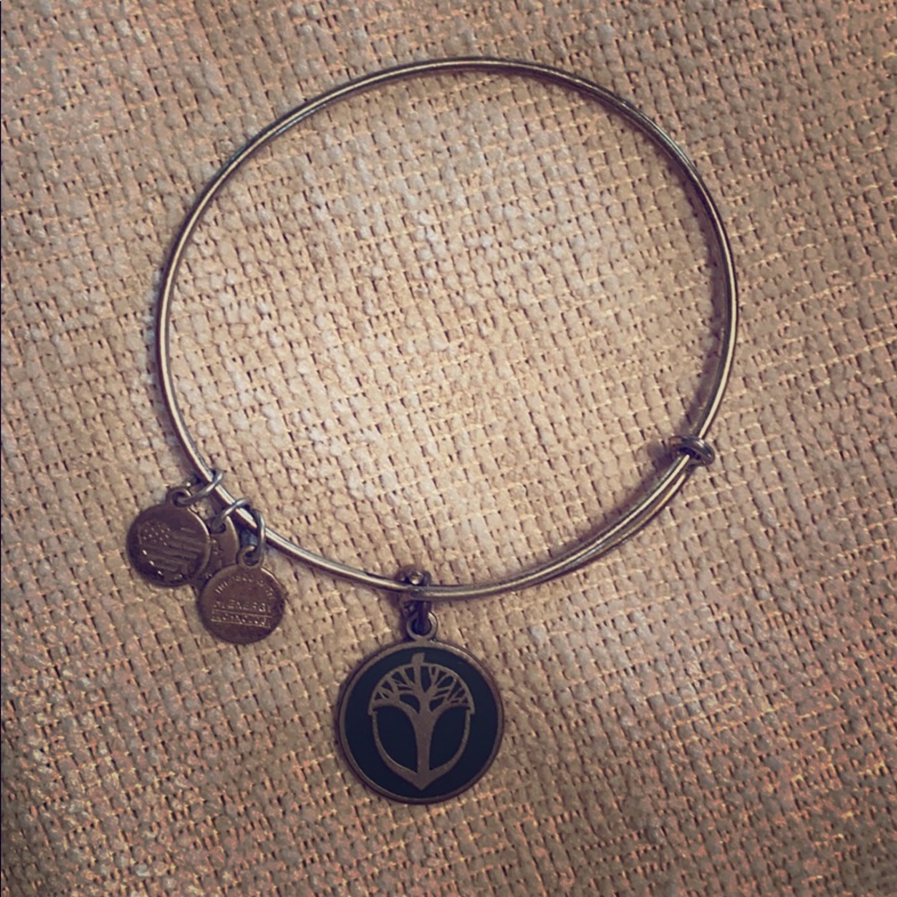 🍁 4/$20 Silver Acorn Alex & Ani Bracelet